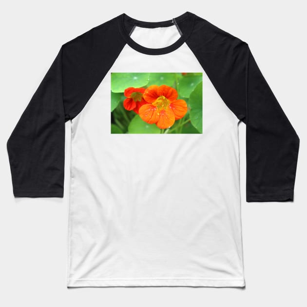 Nasturtium Flowers Baseball T-Shirt by pinkal